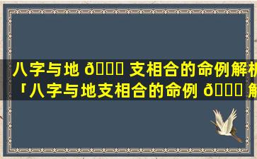 八字与地 🐎 支相合的命例解析「八字与地支相合的命例 🍀 解析大全」